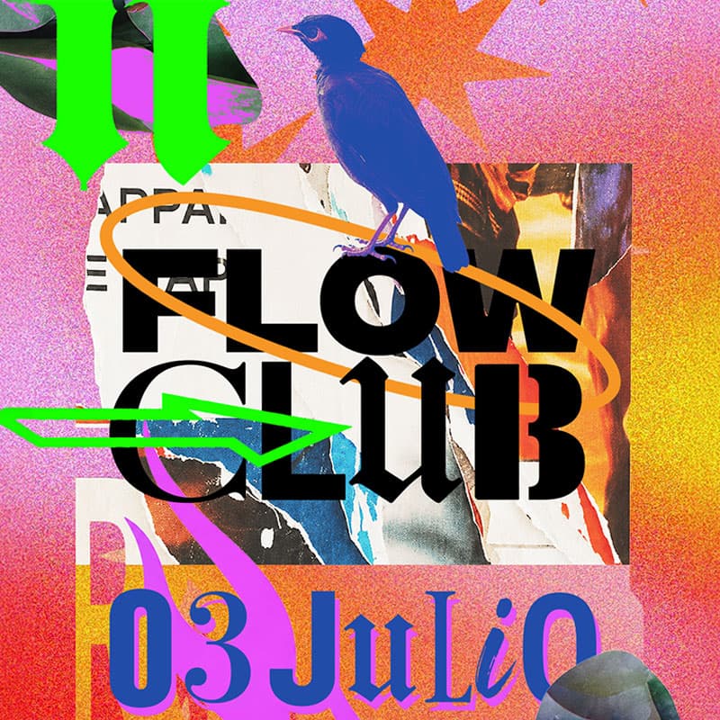 Flow Club image}